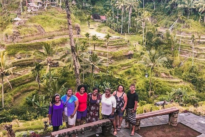 Bali: Ubud Highlights Tour with Private Guide and Transfers - Tegalalang Rice Terrace from the road to the fields