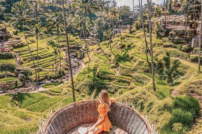 Bali: Ubud Highlights Tour with Private Guide and Transfers - The Terrace River Pool Swing costs extra