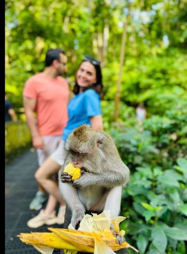 Bali: Ubud Monkey Forest, Coffee Plantation, and Market Tour - A Market Stop With Room for Local Character