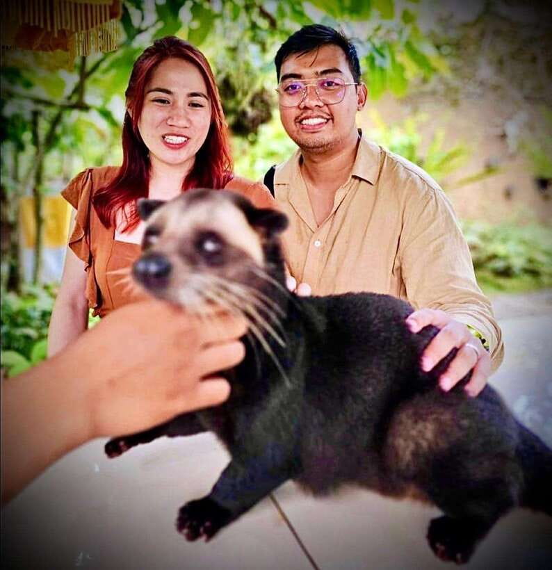 Bali: Ubud Monkey Forest, Coffee Plantation, and Market Tour - Who Should Book This Ubud Day Trip?