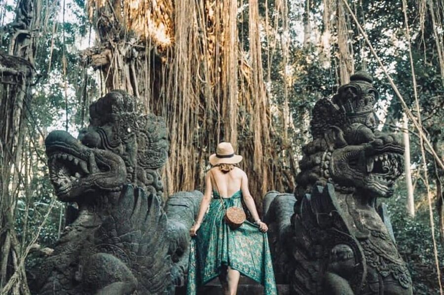 Bali: Ubud Monkey Forest, Waterfall, and Rice Terrace Tour - Practical packing advice for this Bali day