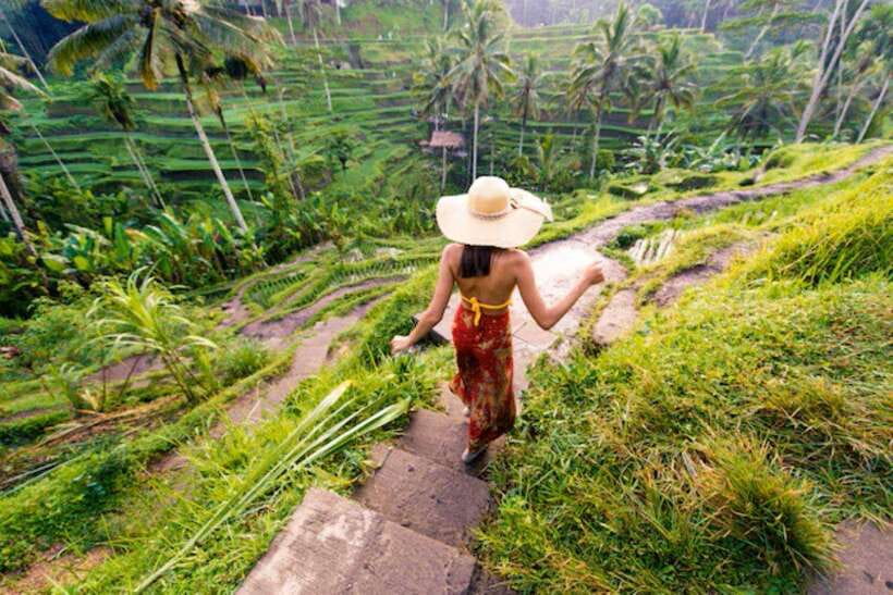 Bali: Ubud Monkey Forest, Waterfall, and Rice Terrace Tour - Tegalalang Rice Terrace and the farming countryside