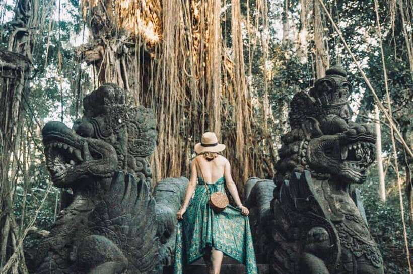 Bali: Ubud Monkey Forest, Waterfall, and Rice Terrace Tour - Private transport from Ubud and south Bali