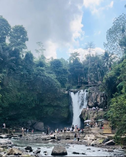 Bali ubud : monkey forest, waterfall , temple - Taking part in a Tirta Empul cleansing ritual