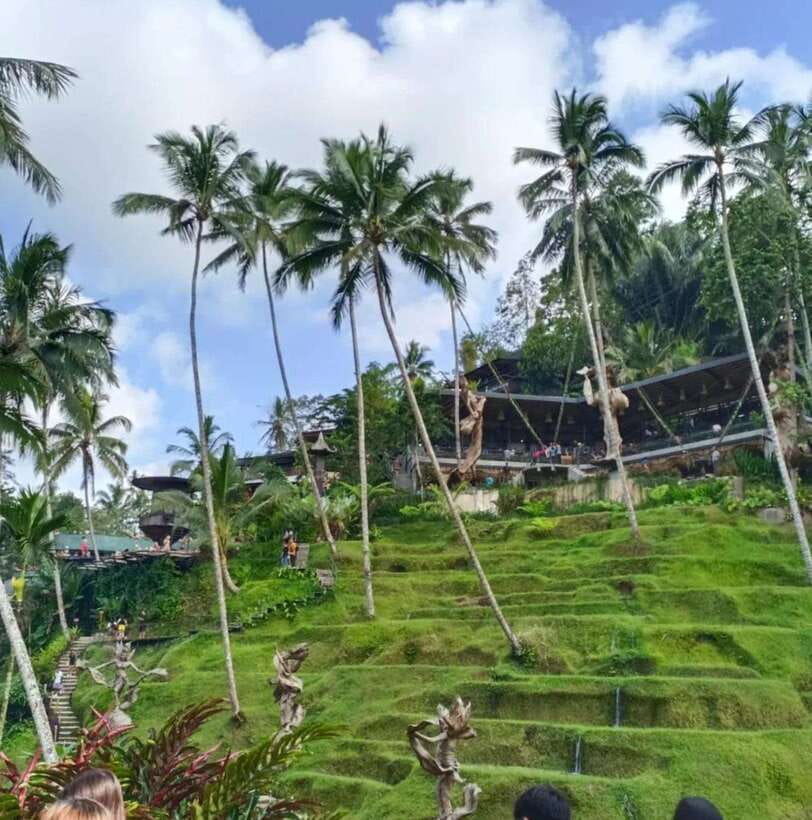 Bali Ubud : Private Full/ Half Day Tour, Optional Activities - A flexible way to see Ubud