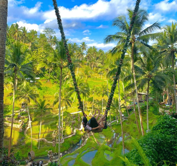 Bali Ubud : Private Full/ Half Day Tour, Optional Activities - Rice terraces, swings, and coffee country