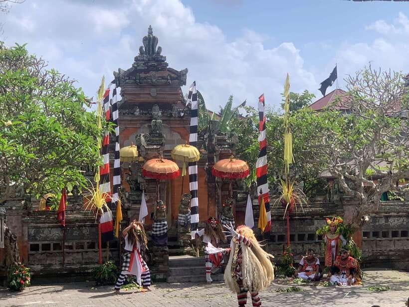 Bali Ubud : Private Full/ Half Day Tour, Optional Activities - Animal parks and evening culture