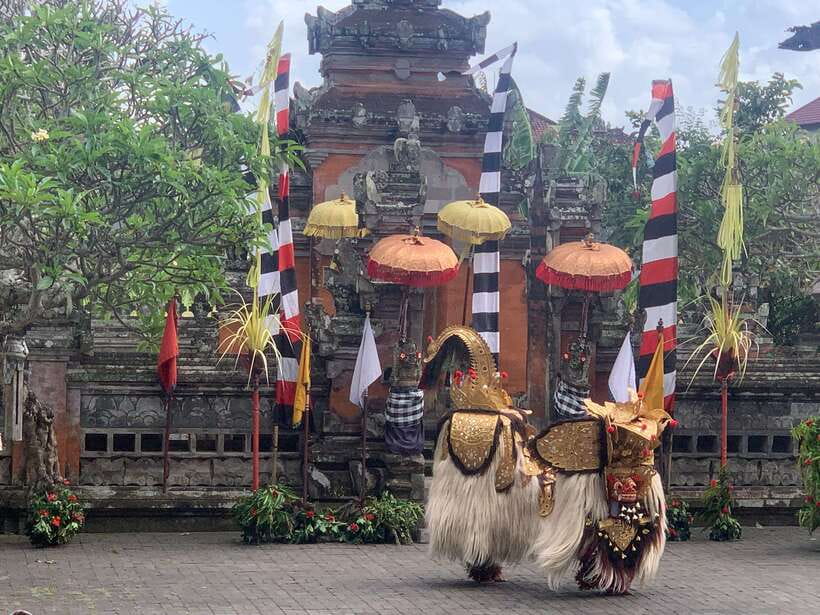 Bali Ubud : Private Full/ Half Day Tour, Optional Activities - Start with the stops that matter most
