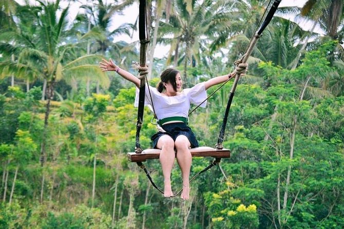 Bali Ubud private Tour with Ubud Bali Driver - FREE WIFI - Monkey Forest, a lively first stop