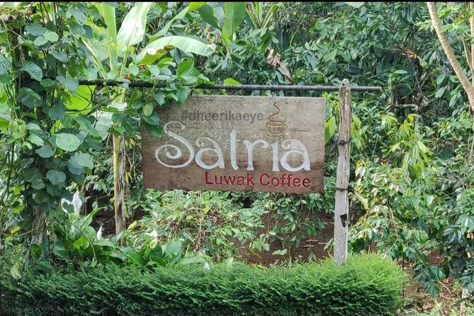 Bali Ubud private Tour with Ubud Bali Driver - FREE WIFI - Silver and wood carving workshops