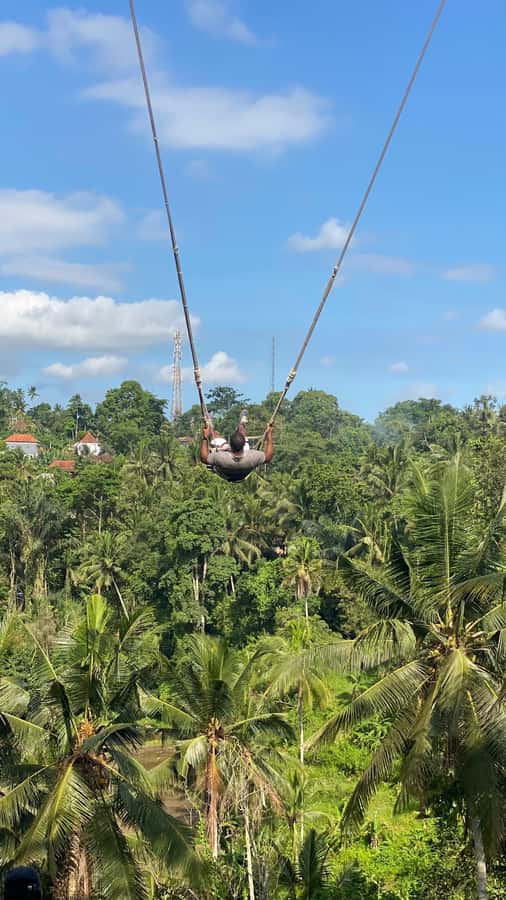 Bali: Ubud Swing Experience with Jungle View - What the $22 price really covers