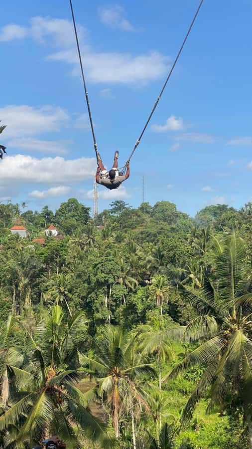 Bali: Ubud Swing Experience with Jungle View - What the strongest feedback tells me