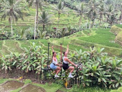 Bali/Ubud: Swing, Zipline & SkyBike Rice Terrace Adventure