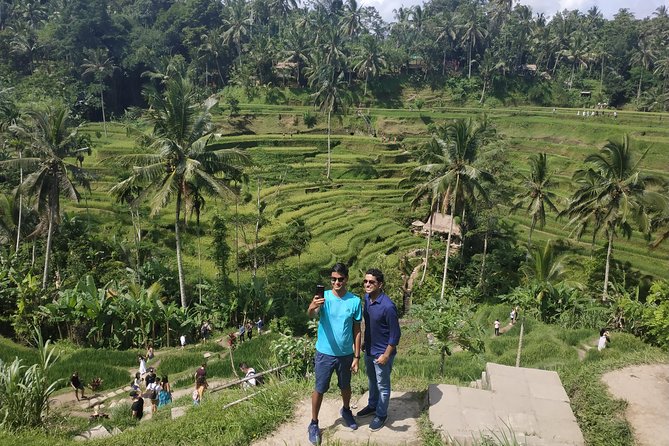 Bali Ubud Tour - Is $80 good value?