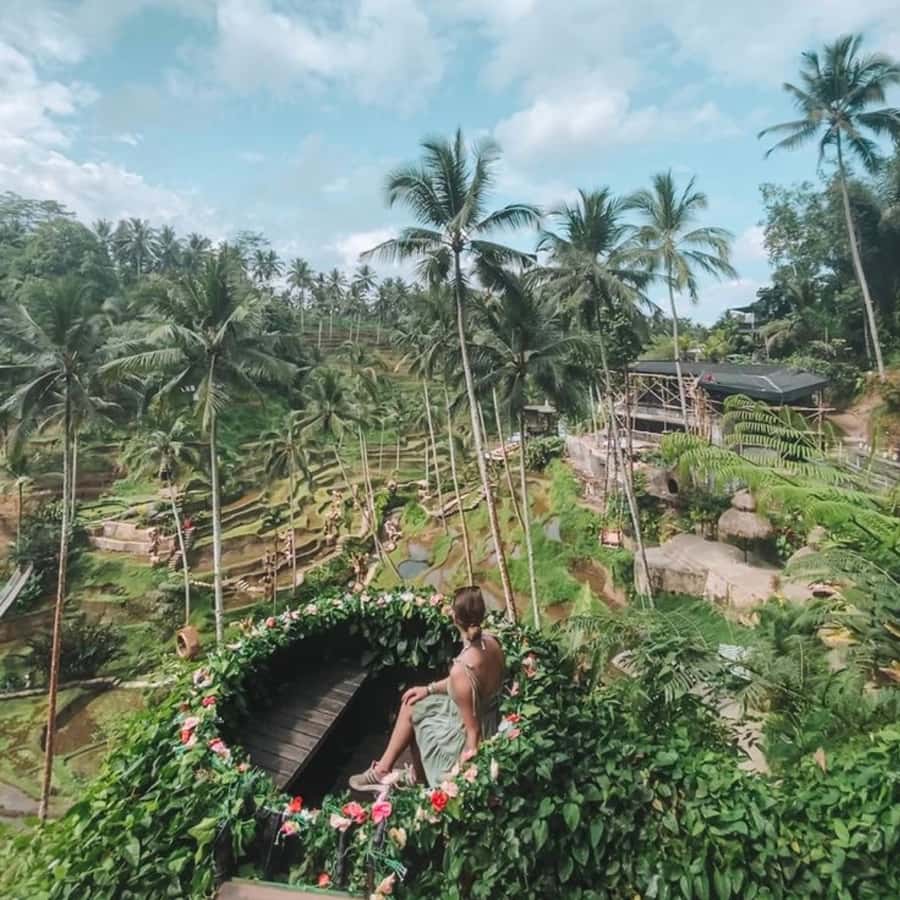 Bali Ubud Tour Best of Ubud Higlight with private Transfers - Timing, comfort, and practical planning