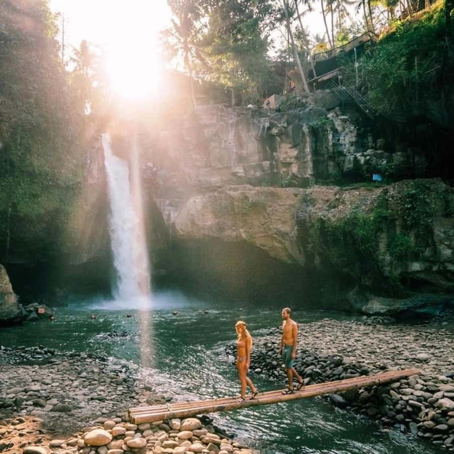 Bali Ubud Tour Best of Ubud Higlight with private Transfers - Lunch in Ubud and the midday rhythm