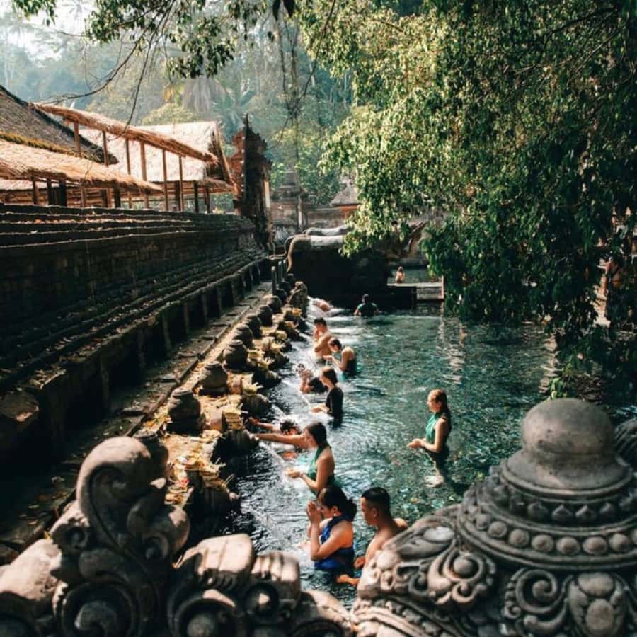 Bali Ubud Tour Best of Ubud Higlight with private Transfers - What the $26 price really covers