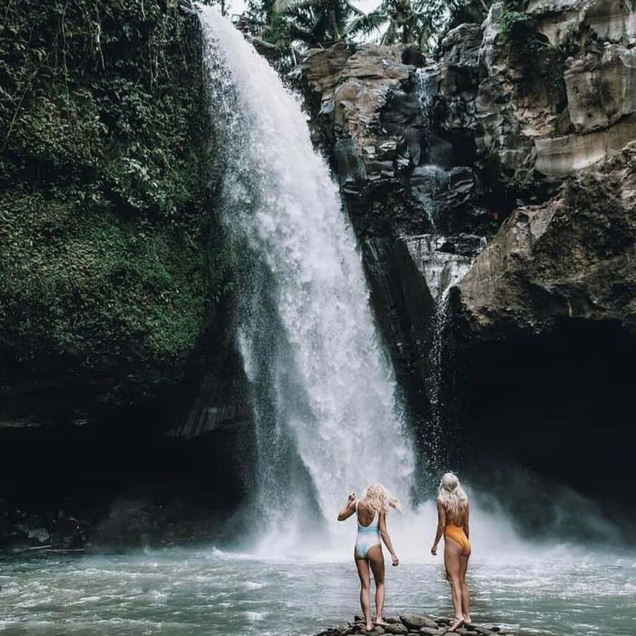 Bali Ubud Tour Best of Ubud Higlight with private Transfers - The guide can shape the whole day