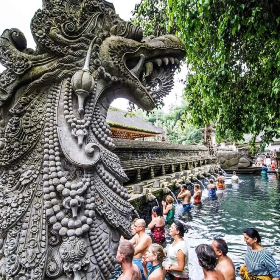 Bali Ubud Tour Best of Ubud Higlight with private Transfers - Tirta Empul’s holy spring fountains