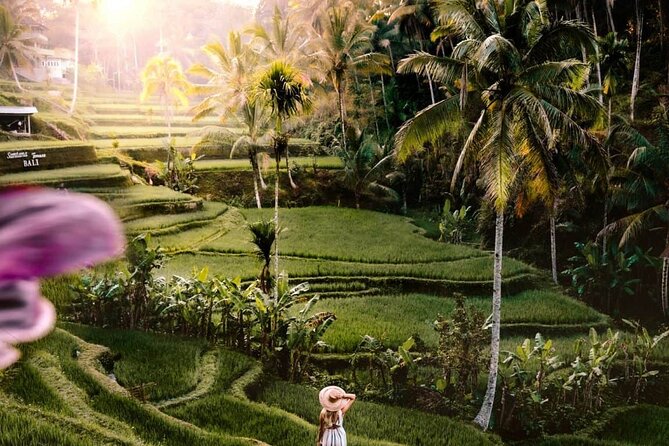Bali Ubud Tour: Monkey Forest, Waterfall & Rice Terrace - Sacred Monkey Forest: an atmospheric first stop