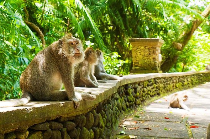 Bali Ubud Tour - Shopping at Ubud Art Market