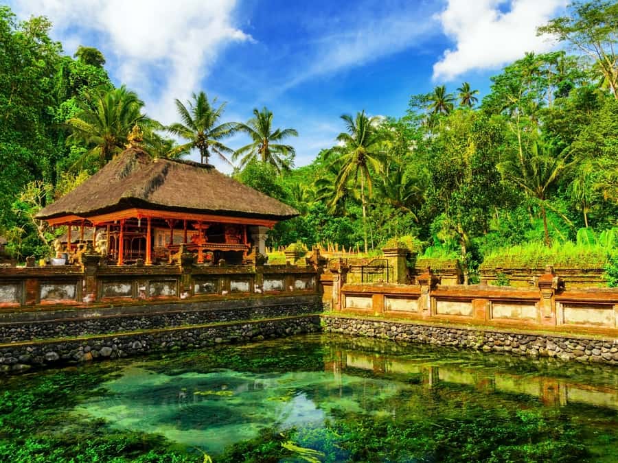 Bali: Ubud Traditional Balinese Purification - What the $29 price really covers
