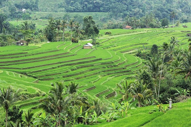 Bali UNESCO Sites: Water Temples and Jatiluwih Rice Terrace Tour - The guides and the quality of the day