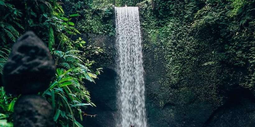 Bali: Waterfall and Rice Terrace Private Day Trip - Key points to know before you book