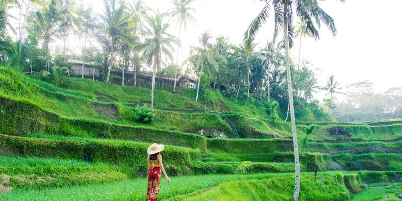 Bali: Waterfall and Rice Terrace Private Day Trip - Kanto Lampo and its shallow river pool