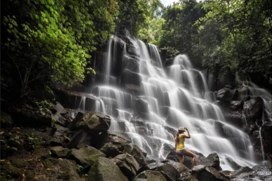 Bali: Waterfall and Rice Terrace Private Day Trip - Tegalalang Rice Terrace changes the pace