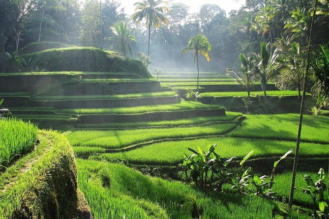 Bali Waterfall in One Day Tours, Hidden Waterfall - All Inclusive - What the $65 price includes, and where it stops