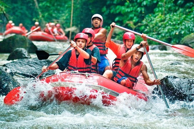 Bali Waterfall Wonders | A Nature Escape | All Inclusive - Jatiwangi Coffee Plantation and Bali’s coffee traditions