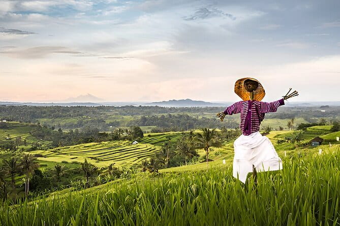 Bali Waterfall Wonders | A Nature Escape | All Inclusive - Wanagiri Hidden Hills and the twin-lake viewpoint
