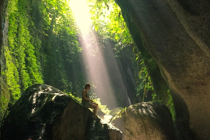 Bali Waterfalls and Temples Tour - Temesi Waterfall, two hours in the rainforest