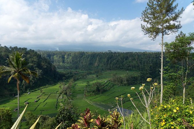 Bali Waterfalls and Temples Tour - Lunch with views near Mount Agung