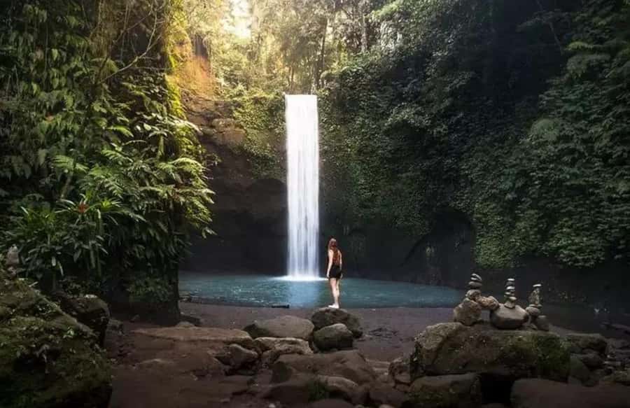 Bali Waterfalls Private Day Tour - Timing, pickup, and what to confirm