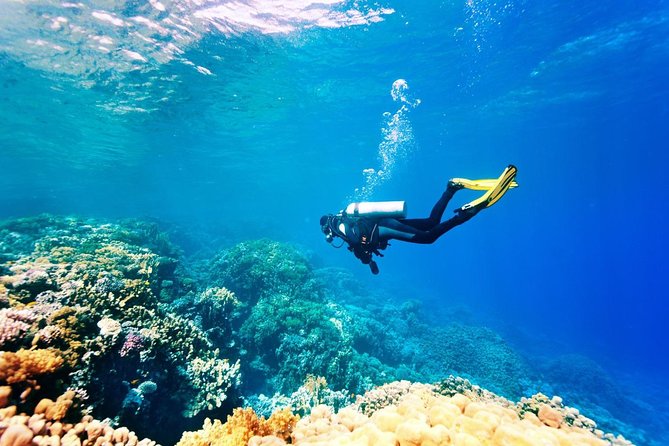Bali Watersport Activities - Great Discount Package - Facilities, safety, and what to expect on site