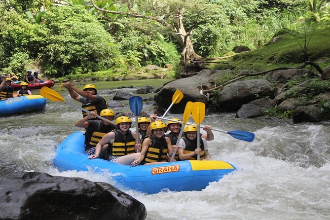 Bali White Water Rafting Adventure at Ayung River Bali - Buffet lunch and the return to Ubud