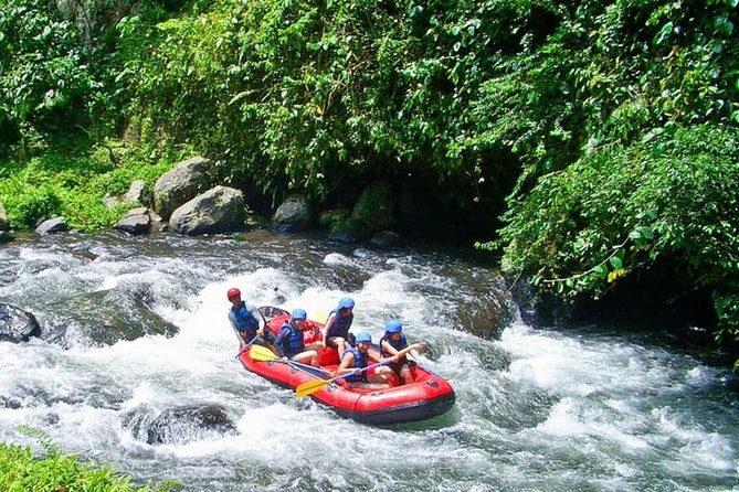 Bali White Water Rafting at Telaga Waja River - Who will enjoy this rafting trip most