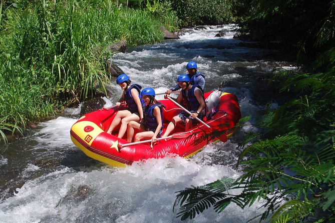 Bali White Water Rafting at Telaga Waja River - Is this Telaga Waja rafting trip worth booking?