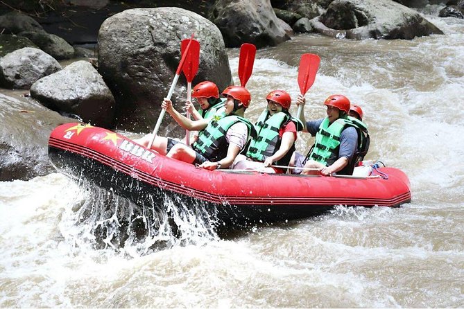 Bali White Water Rafting - Infinity - On the river: rapids, waterfalls, and river beaches