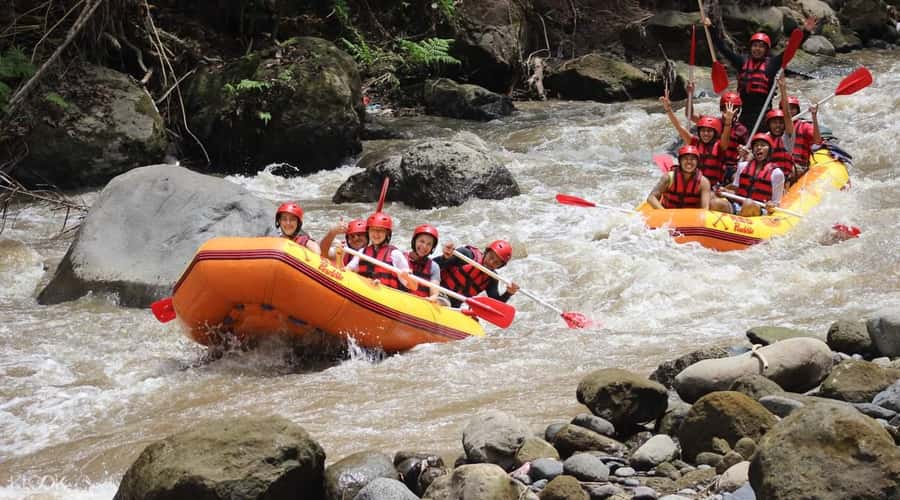 Bali: White Water Rafting, Lunch and Private Pickup - What the Ayung River route gives you