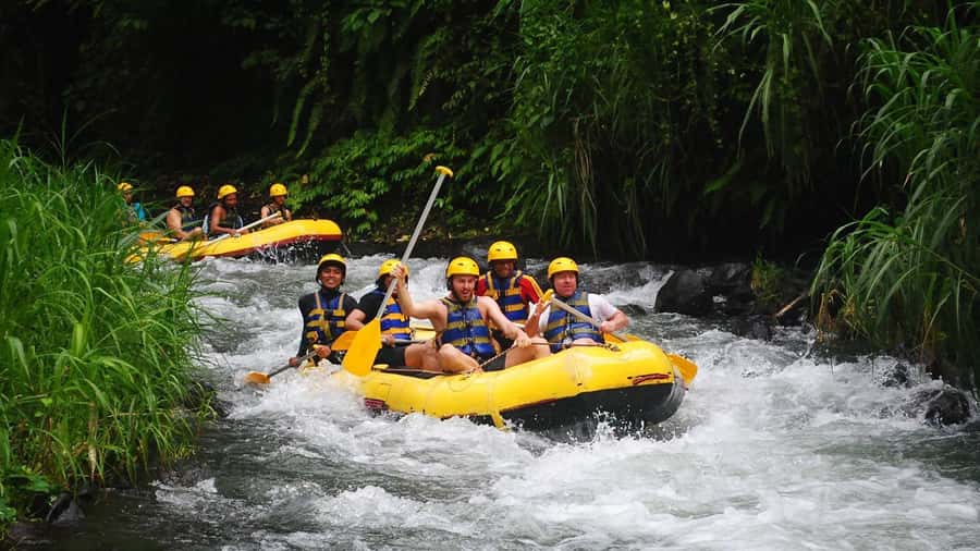 Bali: White Water Rafting, Lunch and Private Pickup - Two hours of rapids, waterfalls, and stone carvings
