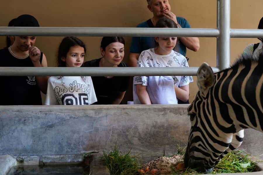 Bali Zoo: Behind Closed Doors Afternoon Safari Guided Tour - Check in by 3:00 PM, not 4:00 PM