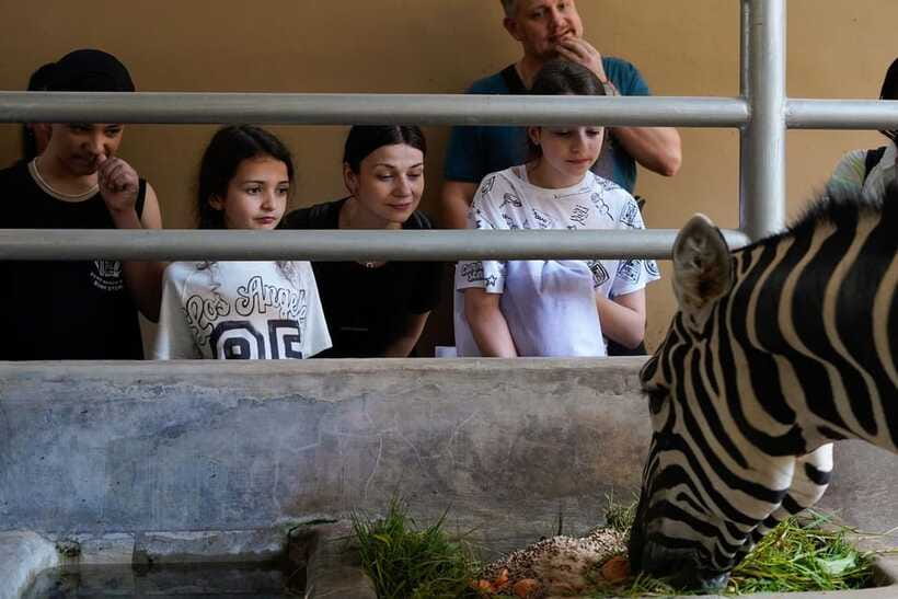 Bali Zoo: Behind Closed Doors Afternoon Safari Guided Tour - Photos, feeding, and the one awkward tradeoff