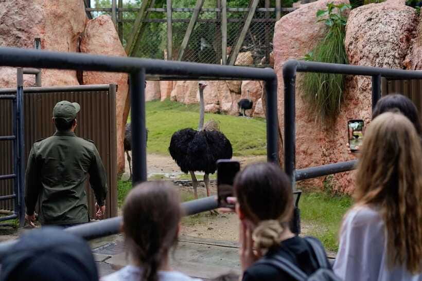 Bali Zoo: Behind Closed Doors Afternoon Safari Guided Tour - Is $52 a fair price?