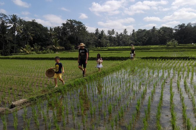 Balinese Cooking Class at Organic Farm - A farm visit before the cooking begins