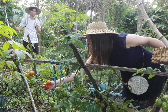 Balinese Cooking Class at Organic Farm - What the $40 price includes in practical terms