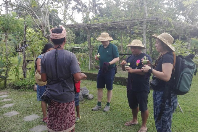 Balinese Cooking Class at Organic Farm - Who will enjoy this class most