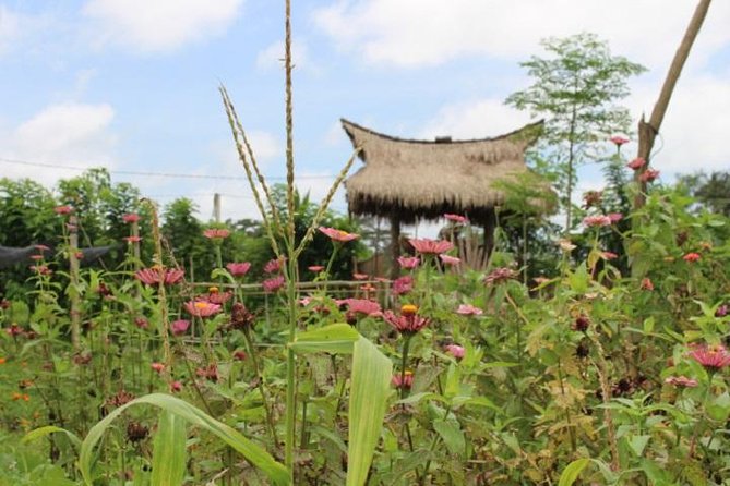 Balinese Cooking Class at Organic Farm - Eating together in the gubuk hut